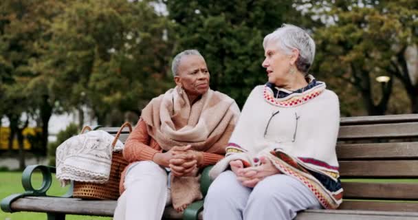 Друзья Скамейка Пожилые Женщины Парке Говорить Качественное Время Сочувствием Грустно — стоковое видео