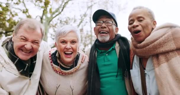 Feliz Grupo Retrato Amigos Seniores Livre Parque Juntos Para Ligação — Vídeo de Stock