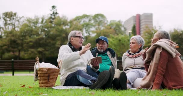 ピクニック シニアの人々は 退職中の朝に一緒に芝生で話しています コミュニティ 自然と高齢者男性と女性が結合のための庭に座っている間チャット — ストック動画