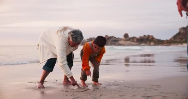 ビーチ 祖父母は一緒に休暇や屋外の休暇のために幸せな海で子供と遊びます 海によって質の時間のための冒険 旅行および祖母の結合の子供か少年 — ストック動画