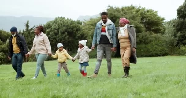 Avós Família Negra Crianças Mãos Dadas Parque Natureza Livre Campo — Vídeo de Stock