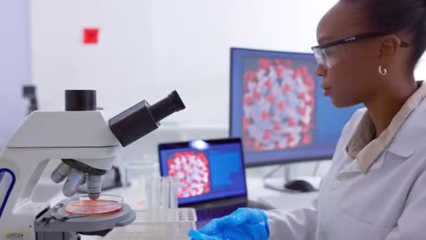 研究室で黒人女性 研究者 バクテリアを対象とした医療 顕微鏡 ヘルスケア 従業員 科学者 データ分析 ラップトップ ワクチン — ストック動画
