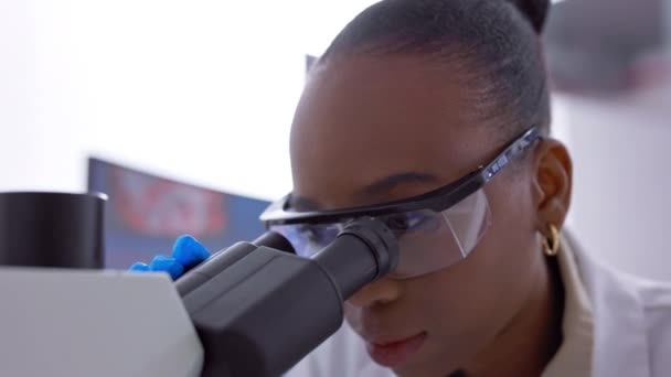 Microscópio Pesquisa Cientista Mulher Negra Fazendo Análise Laboratório Para Testar — Vídeo de Stock