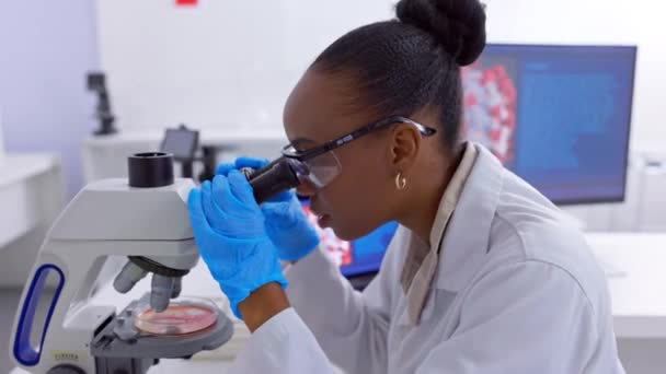 黒人女性と医療 顕微鏡 ラップトップ 研究室でのDna実験 バクテリアまたはサンプルを有するヘルスケア コンピュータ 科学者 — ストック動画