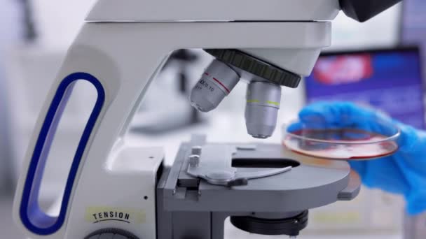 Microscope Échantillon Scientifique Avec Test Analyse Dans Laboratoire Recherche Sur — Video
