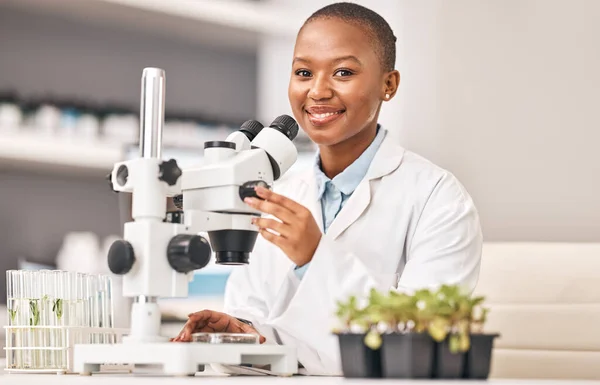 科学の肖像画 女性と植物 顕微鏡または農業 持続可能性 葉テストのための実験研究 科学者 アフリカの学生または幸せな医師 レンズとエコ研究または食品安全 — ストック写真