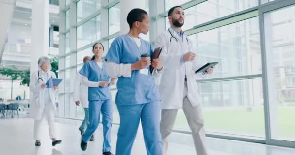 Teamarbeit Krankenschwester Und Spaziergänge Mit Ärzten Krankenhaus Für Forschung Beratung — Stockvideo