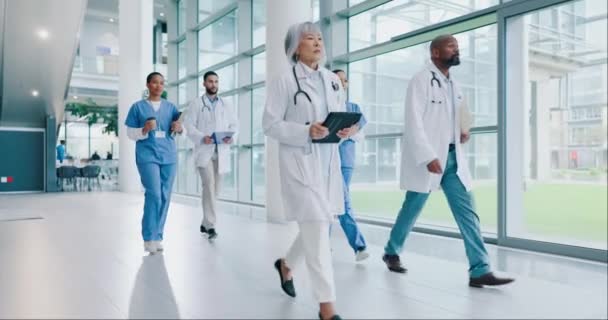 Týmová Práce Lékařská Chůze Lékaři Nemocnici Pro Výzkum Poradenství Podporu — Stock video