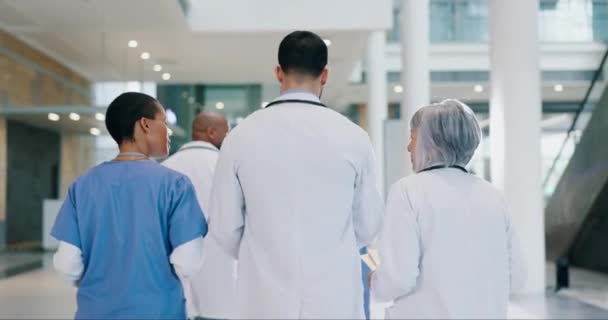 Travail Équipe Consultation Marche Avec Des Médecins Hôpital Pour Recherche — Video