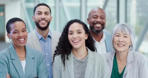 商界人士 团队人士和企业人士携手合作 共同塑造快乐员工的形象 具有自豪 领导能力和团结的多样性 微笑和职业男女群体 — 图库视频影像