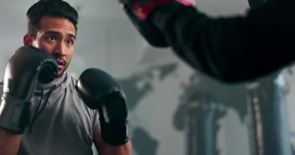 Lagarbete Boxare Eller Personlig Tränare Gym Med Man Träning Eller — Stockvideo
