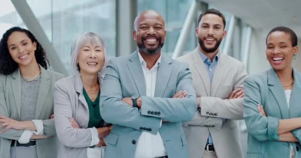 商界人士 企业和团队的形象 一起笑员工的合作 具有领导能力和团结的多样性 跨部门和专业男女群体 — 图库视频影像