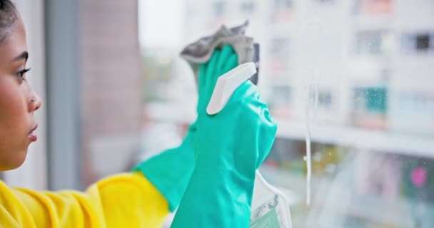 Mujer Botella Spray Ventana Limpieza Hogar Para Bacterias Bienestar Higiene — Vídeos de Stock