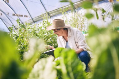 Plants, greenhouse and woman on farm with sustainable business checklist, nature and happiness in garden. Agriculture, gardening and female farmer with smile, green leaves and agro vegetable farming clipart