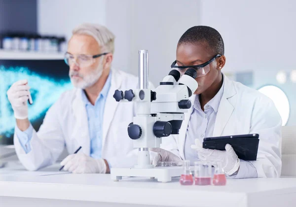 Nauka Laboratorium Czarna Kobieta Mikroskopem Tabletka Mężczyzna Próbką Krwi Probówki — Zdjęcie stockowe