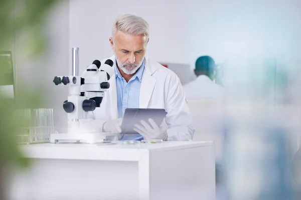 Biotechnologia Laboratorium Naukowiec Mikroskopem Tabletkami Badaniami Roślin Botaniki Lub Medycyny — Zdjęcie stockowe