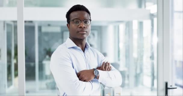 Empresarial Braços Cruzados Feliz Homem Negro Pessoa Negócios Consultor Bancário — Vídeo de Stock