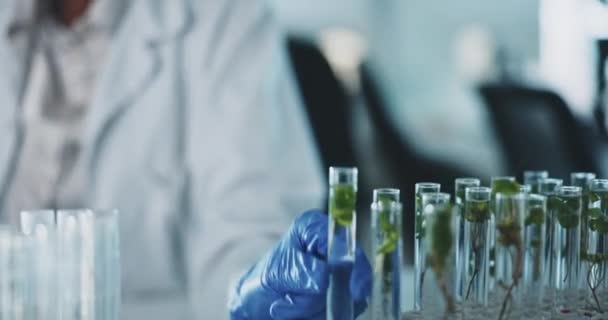 Reagenzglas Blätter Und Wissenschaft Schwarze Frau Und Wissenschaftlerin Labor Medizinischer — Stockvideo