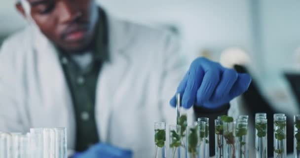Tubo Ensayo Planta Hombre Negro Científico Escribiendo Notas Laboratorio Investigación — Vídeo de stock