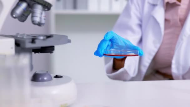 Mikroskop Probe Und Hände Von Wissenschaftlern Mit Analysetest Einem Labor — Stockvideo