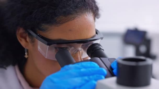 Microscopio Investigación Científico Haciendo Análisis Bacterias Pruebas Química Experimento Examen — Vídeos de Stock
