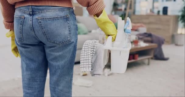 Limpeza Mãos Mulher Volta Sala Estar Para Trabalho Limpeza Governanta — Vídeo de Stock