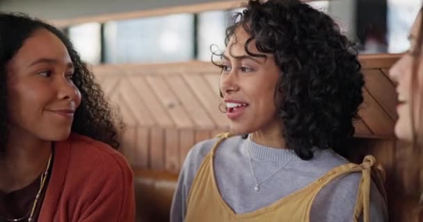 Happy Santai Dan Teman Teman Kafe Untuk Percakapan Komunikasi Atau — Stok Video