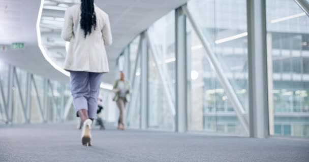 Atrás Caminar Equipaje Las Personas Aeropuerto Para Viajar Vacaciones Globales — Vídeo de stock