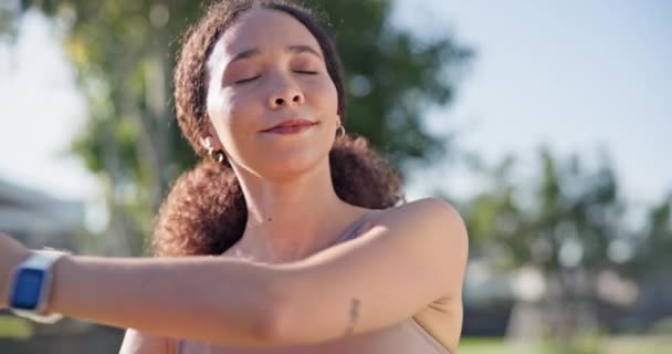 Mañana Fitness Mujer Estirándose Para Hacer Ejercicio Naturaleza Haciendo Calentamiento — Vídeos de Stock