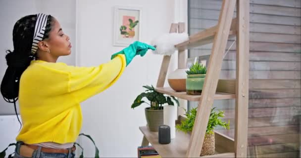 Limpieza Polvo Trabajo Mujer Hogar Con Plumero Limpiador Una Sala — Vídeo de stock