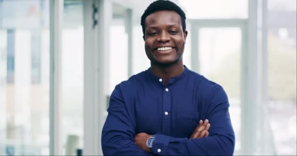 Wajah Bisnis Dan Pria Kulit Hitam Dengan Lengan Disilangkan Tersenyum — Stok Video