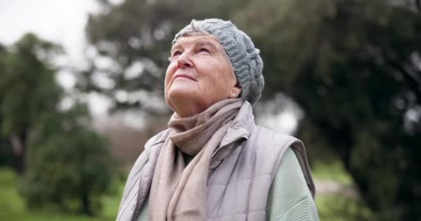 老妇人 在公园里沉思和平静 呼吸着新鲜的空气和自然 安宁和健康 户外运动 退休和养老金 放松和康复的心神 禅意和压力缓解 — 图库视频影像