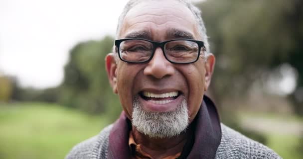 Senior Mand Smil Closeup Ansigt Park Tur Pension Med Latter – Stock-video