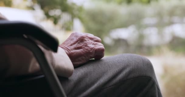退休和一个老年人在户外坐轮椅 可以近距离观看大自然 放松身心 日间在花园等候 避暑或停车 以及有残疾的长者 — 图库视频影像