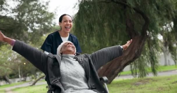 看護師 車椅子 公園での女性の自由 または一緒にアウトドアを楽しむこと 介護者 障害のあるシニアの人 そして面白い笑い そして笑顔を身体療法で — ストック動画