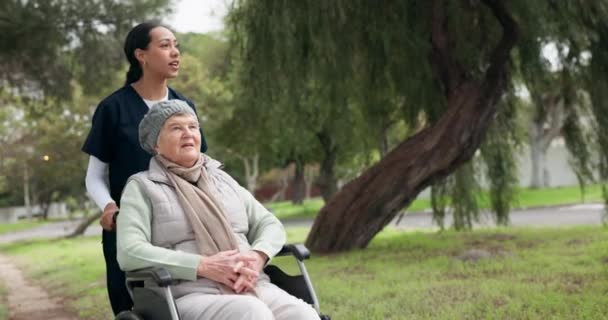 Hemşire Tekerlekli Sandalye Parktaki Yaşlı Kadın Doğa Bahçe Bakıcı Engelli — Stok video