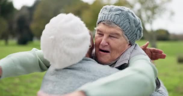 ハッピー コネクション シニアの友人が公園で抱き合って新鮮な空気を一緒に散歩する 庭でケア または再会を受け入れる退職後の笑顔 高齢女性 — ストック動画