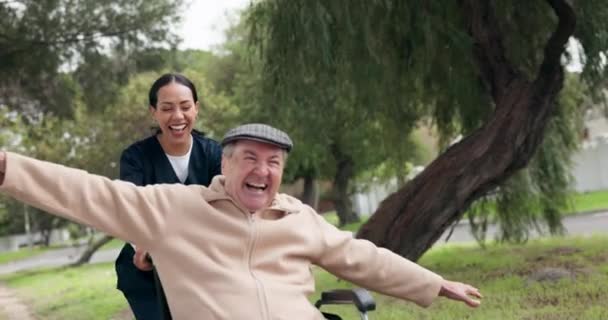Opiekun Wózek Inwalidzki Wolność Człowieka Parku Ogród Przyrody Szczęśliwy Odkryty — Wideo stockowe