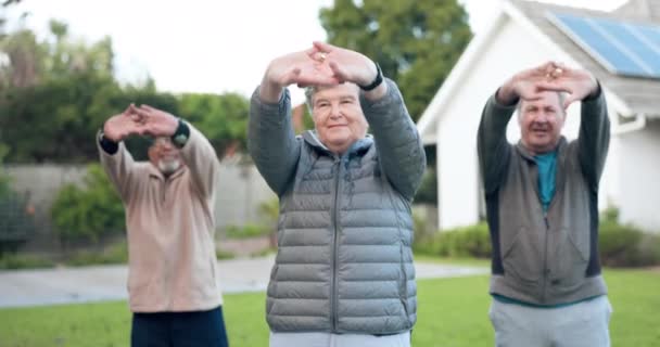Руки Растяжки Пожилых Людей Открытом Воздухе Фитнес Тренировки Вместе Здоровья — стоковое видео