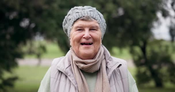 Senior Osoba Úsměv Šťastný Obličej Parku Procházku Důchodu Venkovní Wellness — Stock video