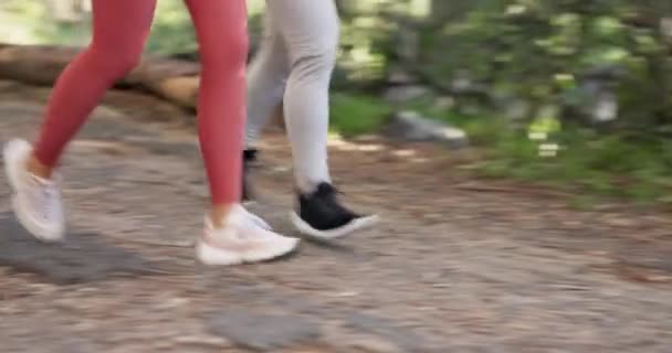 Ноги Бег Упражнения Открытом Воздухе Парке Фитнеса Тренировки Гонка Здоровье — стоковое видео