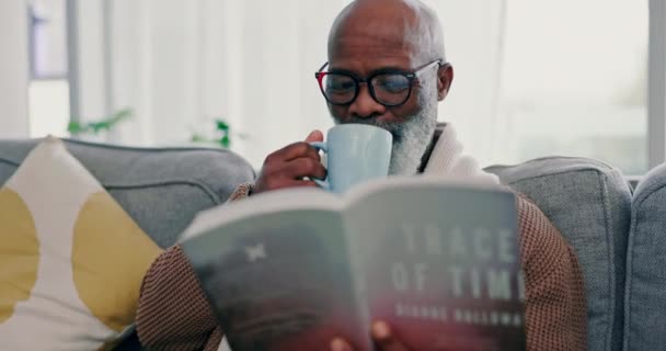 Čaj Zralý Černoch Knížka Pohovce Obýváku Šťastný Román Afričan Pít — Stock video