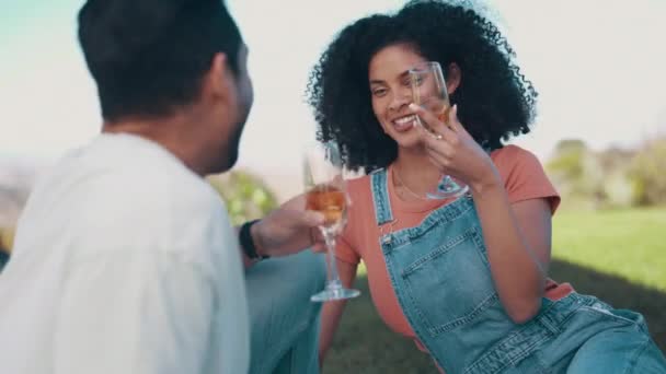 Yaz Tatili Için Çiftlerle Birlikte Piknik Şampanyaya Rahatlamaya Mutluluğa Sağlık — Stok video