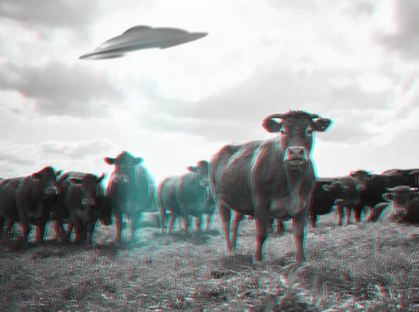 Alien Bortförande Rymdskepp Och Ufo Med Fält För Fantasi Science — Stockfoto