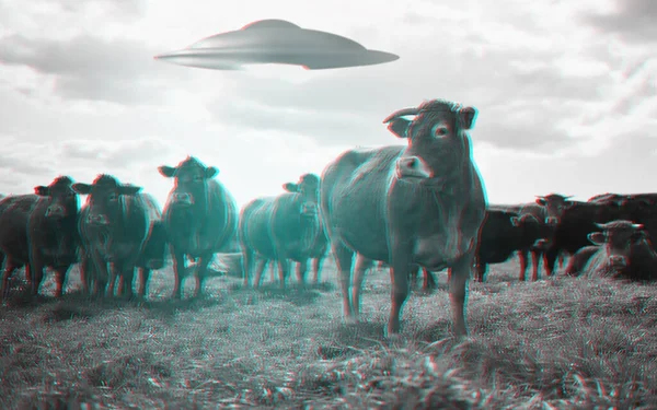 Alien Rymdskepp Och Ufo Med Gården För Fantasi Science Fiction — Stockfoto
