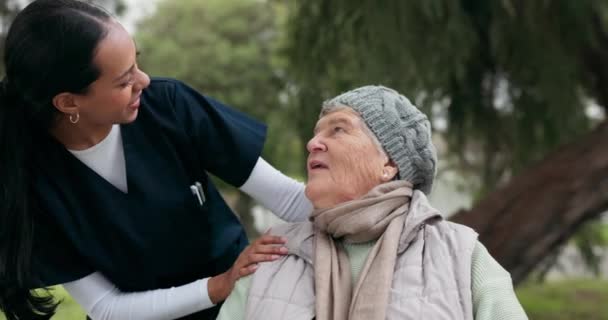 Krankenschwester Park Und Eine Seniorin Rollstuhl Park Die Miteinander Reden — Stockvideo