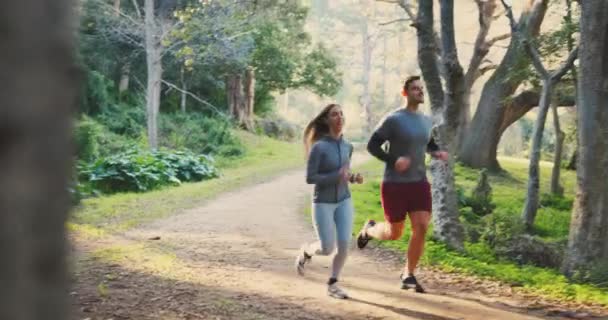 Δάσος Γυμναστήριο Και Τρέξιμο Ζευγαριών Προπόνηση Και Ευεξία Προπόνηση Πρόκληση — Αρχείο Βίντεο