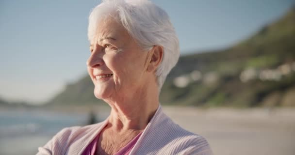 老年妇女 在沙滩上微笑和日落 与宁静的大自然 大海和年老的女性一起沉醉在沉思中 脸蛋和老太太退休时在海边想心事 — 图库视频影像