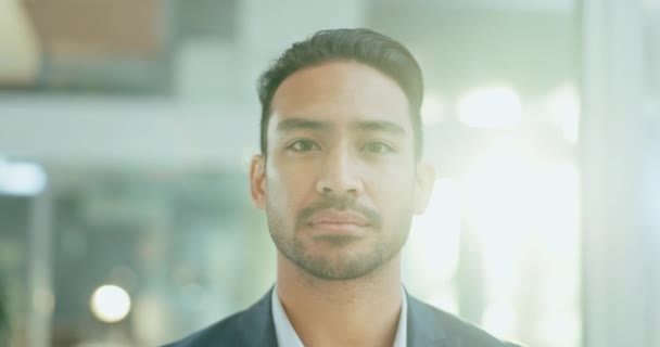 Gesicht Karriere Und Asiatischer Mann Mit Geschäfts Büro Und Finanzberater — Stockvideo