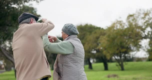 シニアカップル ダンス 楽しいエネルギーと休日に愛の公園でハッピーアウト スピン 面白い冒険 自由のための自然の中で高齢者と女性 — ストック動画